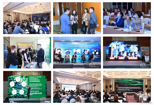 数字赋能绿色未来 2023中国绿色数据中心峰会聚焦计算机信息技术咨询服务新路径