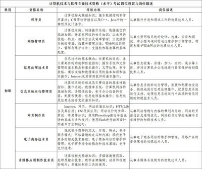 计算机信息技术咨询服务 从职业资格认证到行业实践